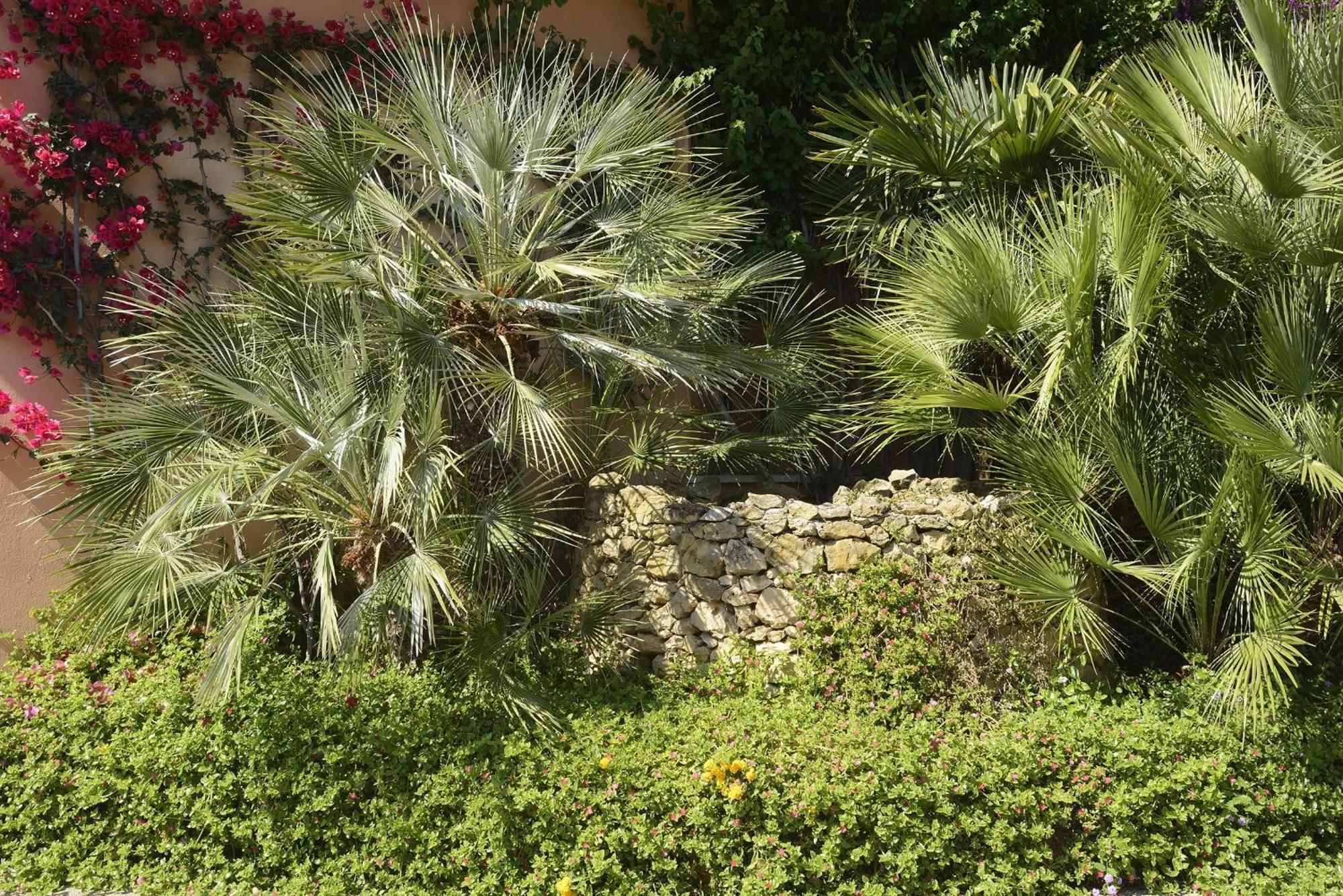 Hotel Oasis Alghero Kültér fotó